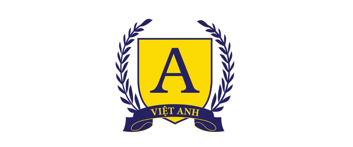 Flexidata TH,THCS,THPT Việt Anh logo